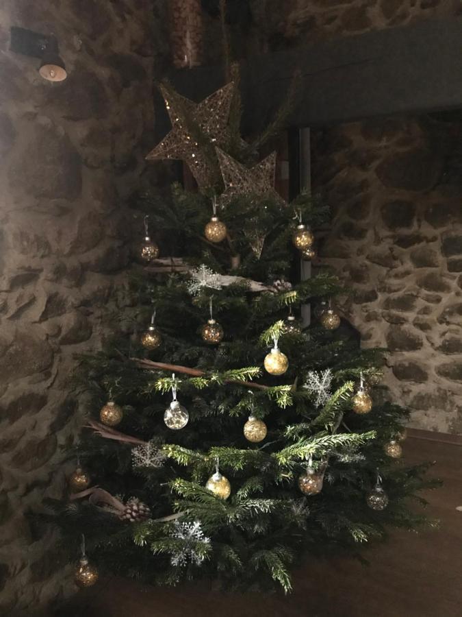Cal Xandera Hotel Angoustrine Kültér fotó